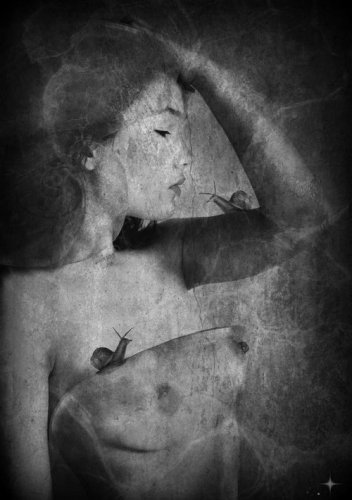 large (2).jpg, 196 KB